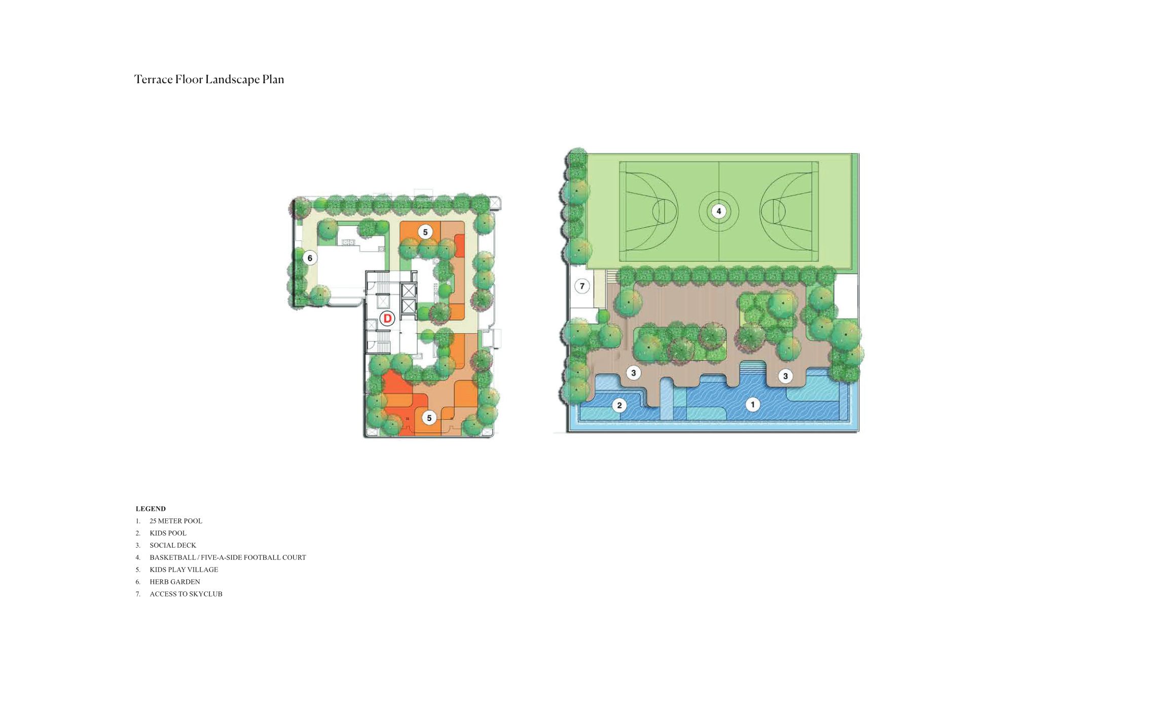 Project View